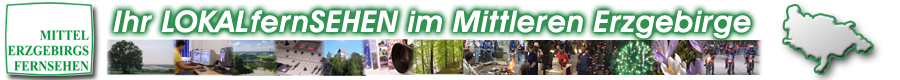 MEF Logo