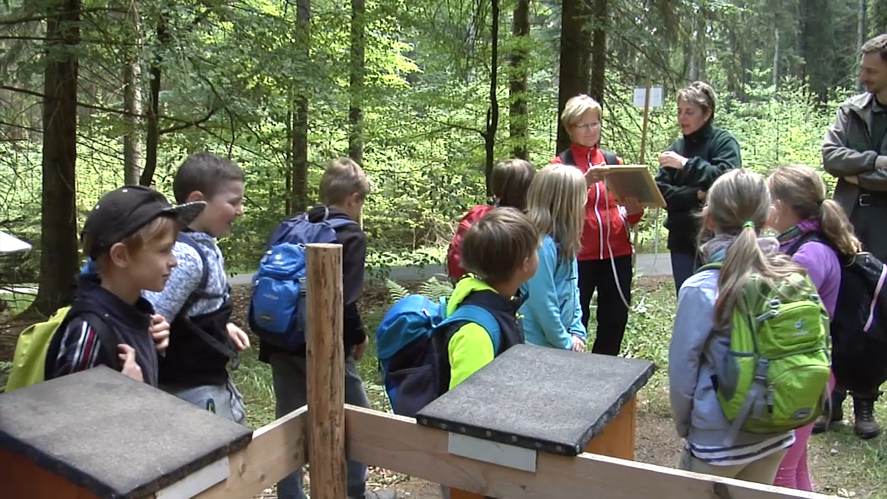 MEgional mit den 100.000 Teilnehmern an den Waldjugendspielen