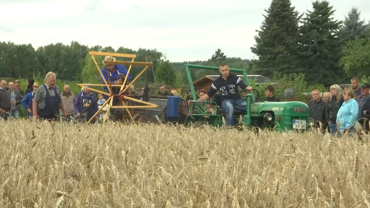 MEgional mit dem Erntefest in Lauta