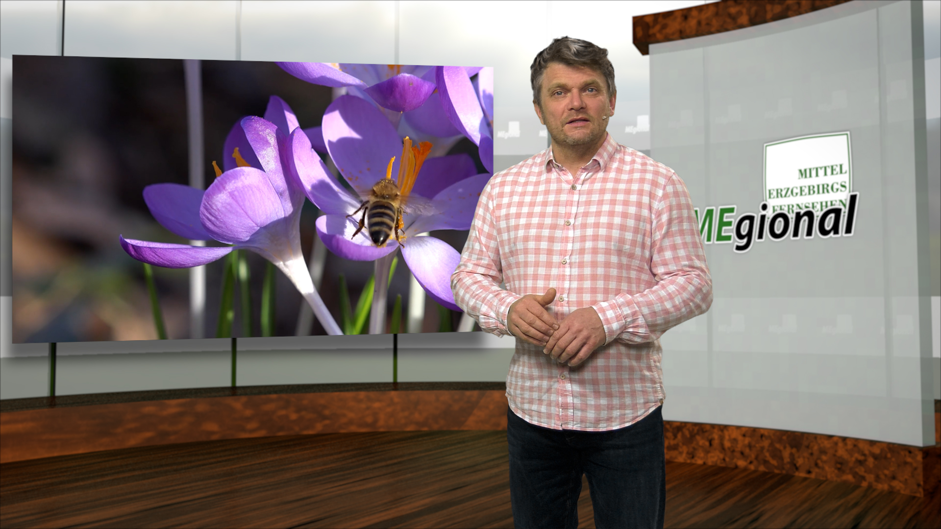 MEgional am 23. Februar mit dem Frühlingserwachen in der Region MEgional am 23. Februar mit dem Frühlingserwachen in der Region